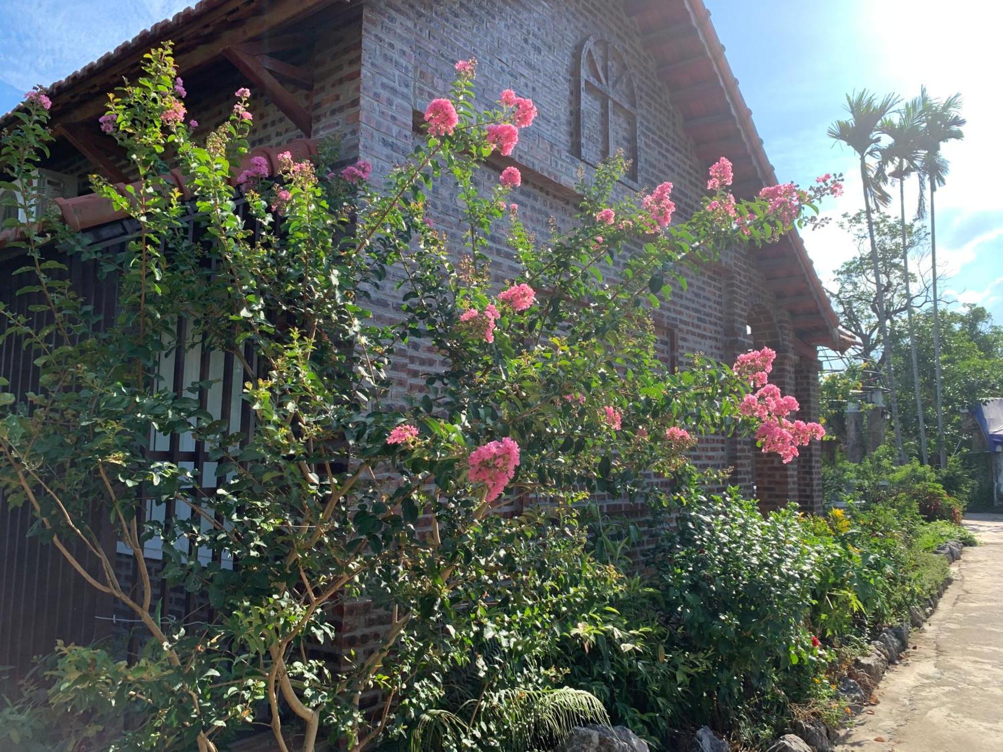Dinh Gia Home Villa & Resort Ninh Binh Esterno foto